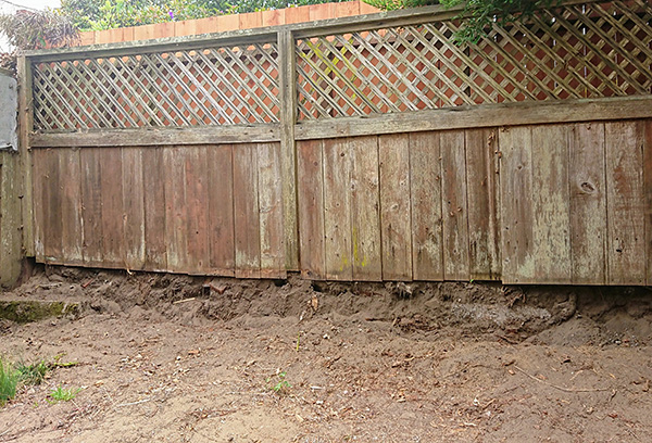 fence cleaned up - left side